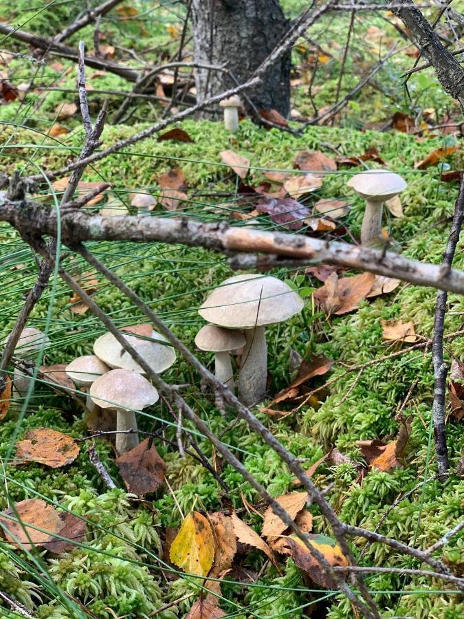 Swiety Spokoj Laka I Woda Pozezdrze Exteriör bild