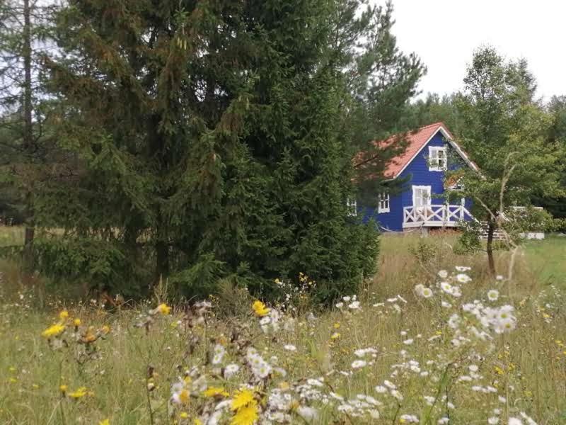 Swiety Spokoj Laka I Woda Pozezdrze Exteriör bild
