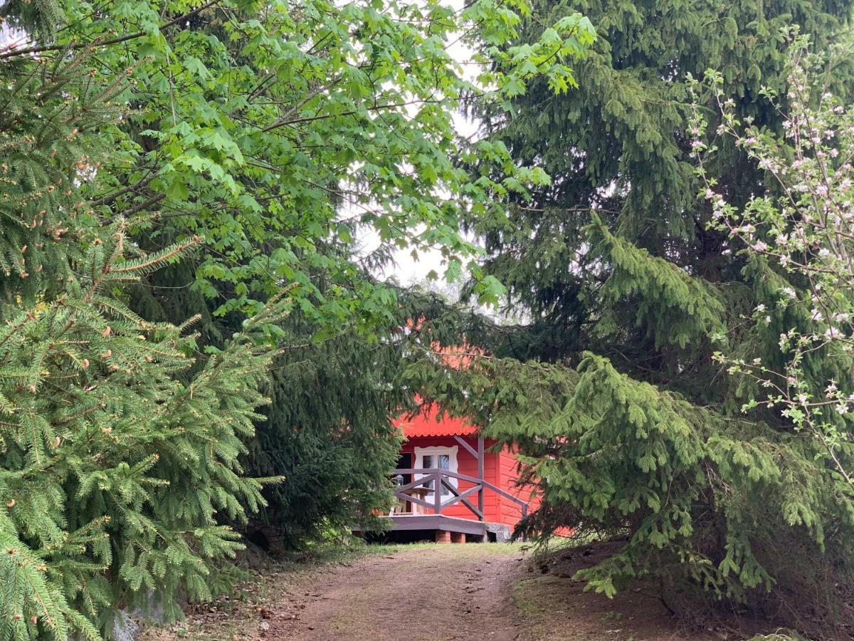 Swiety Spokoj Laka I Woda Pozezdrze Exteriör bild
