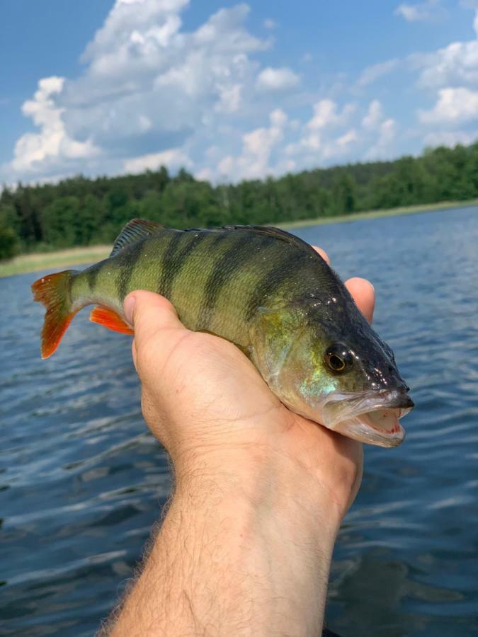 Swiety Spokoj Laka I Woda Pozezdrze Exteriör bild